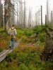 Bayerischer Wald August 2005 014