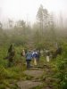 Bayerischer Wald August 2005 016